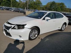 Salvage cars for sale at Marlboro, NY auction: 2013 Lexus ES 300H