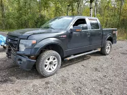 Ford Vehiculos salvage en venta: 2014 Ford F150 Supercrew