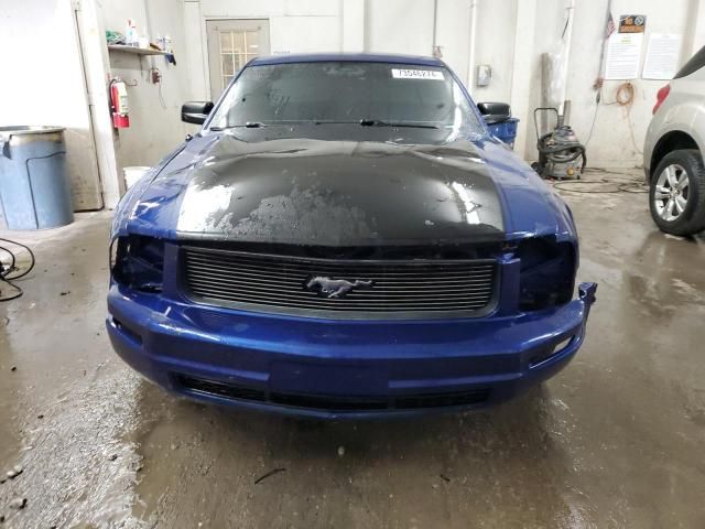 2005 Ford Mustang