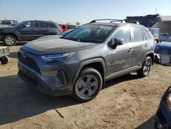 Salvage cars for sale at Brighton, CO auction: 2023 Toyota Rav4 XLE