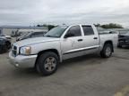 2006 Dodge Dakota Quad SLT