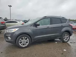 Salvage cars for sale at Indianapolis, IN auction: 2018 Ford Escape SEL