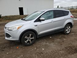 Buy Salvage Cars For Sale now at auction: 2016 Ford Escape SE