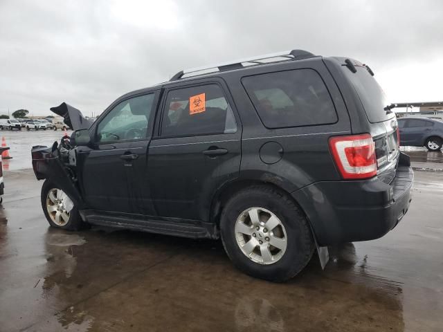 2011 Ford Escape Limited