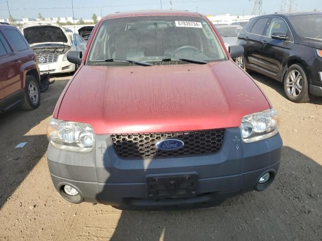 2007 Ford Escape XLT