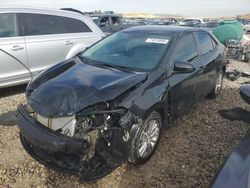 Salvage cars for sale at Magna, UT auction: 2015 Toyota Corolla L