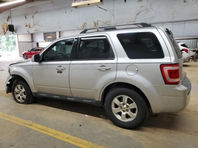 2011 Ford Escape Limited