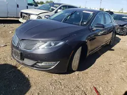 Salvage cars for sale at Elgin, IL auction: 2013 Lincoln MKZ