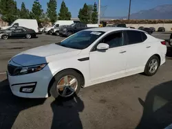 Salvage cars for sale at Rancho Cucamonga, CA auction: 2015 KIA Optima LX