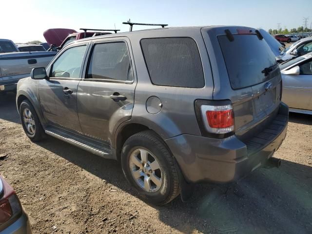 2009 Ford Escape XLT