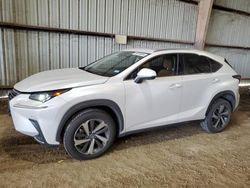 Salvage cars for sale at Houston, TX auction: 2021 Lexus NX 300 Base