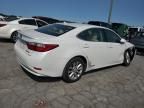 2013 Lexus ES 300H