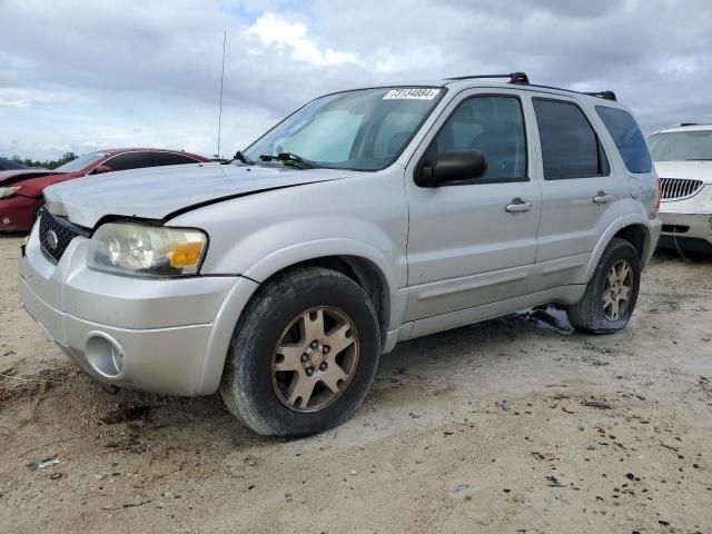 2005 Ford Escape Limited