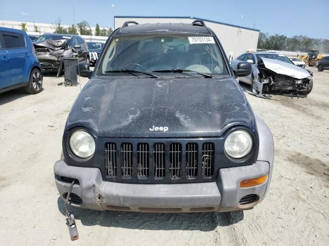 2002 Jeep Liberty Sport