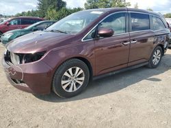 Honda salvage cars for sale: 2015 Honda Odyssey EXL