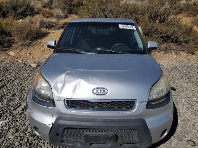 2010 KIA Soul +