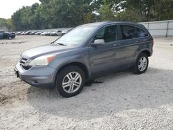 Honda salvage cars for sale: 2010 Honda CR-V EXL