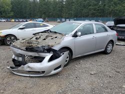 Toyota salvage cars for sale: 2010 Toyota Corolla Base