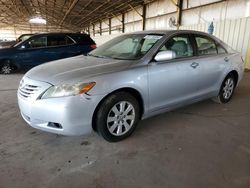 Toyota salvage cars for sale: 2009 Toyota Camry SE