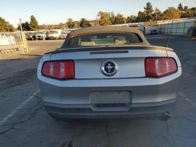 2010 Ford Mustang