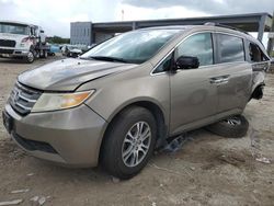 Salvage cars for sale at West Palm Beach, FL auction: 2012 Honda Odyssey EXL