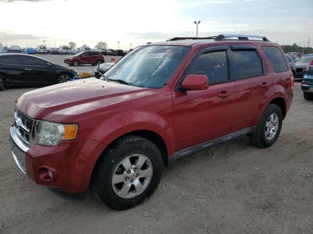 2010 Ford Escape Limited