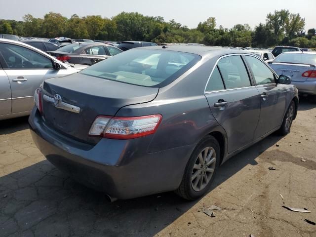 2010 Toyota Camry Hybrid