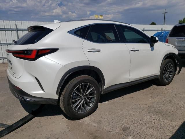 2024 Lexus NX 350H Base