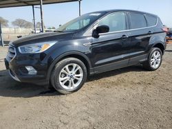 Salvage cars for sale at auction: 2019 Ford Escape SE