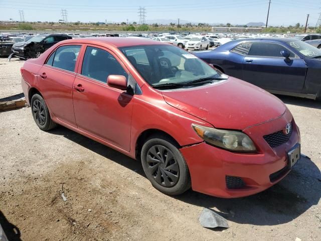 2010 Toyota Corolla Base