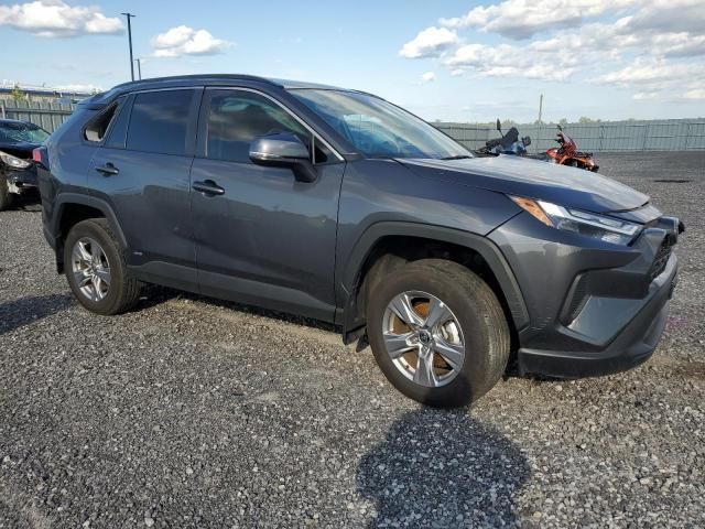 2023 Toyota Rav4 XLE