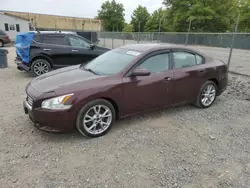 2014 Nissan Maxima S en venta en Baltimore, MD