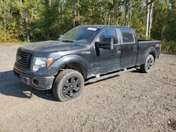 Salvage trucks for sale at Cookstown, ON auction: 2012 Ford F150 Supercrew