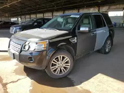 Land Rover lr2 salvage cars for sale: 2010 Land Rover LR2 HSE