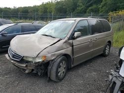 Salvage cars for sale at Baltimore, MD auction: 2004 Honda Odyssey EX