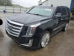 Run And Drives Cars for sale at auction: 2017 Cadillac Escalade Platinum