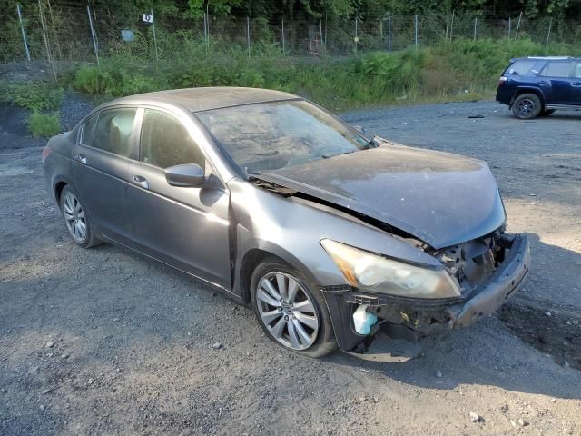 2011 Honda Accord EX