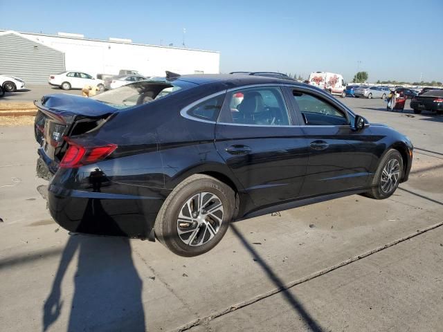 2023 Hyundai Sonata Hybrid