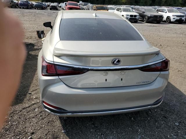 2021 Lexus ES 300H Luxury