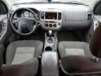 2007 Ford Escape XLT