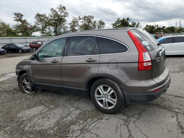 2010 Honda CR-V EXL