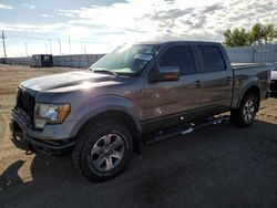 Salvage cars for sale at Greenwood, NE auction: 2011 Ford F150 Supercrew