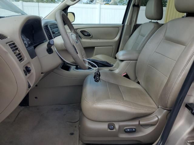 2007 Ford Escape Limited