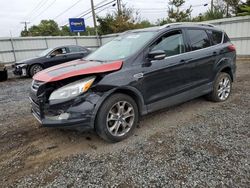 Ford salvage cars for sale: 2014 Ford Escape Titanium