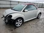 2009 Volkswagen New Beetle Blush Edition