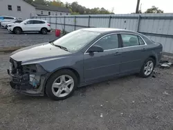 Salvage cars for sale at York Haven, PA auction: 2009 Chevrolet Malibu LS