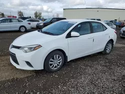 Salvage cars for sale at Rocky View County, AB auction: 2015 Toyota Corolla L