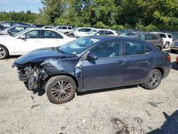 Salvage cars for sale at Candia, NH auction: 2016 Toyota Corolla L