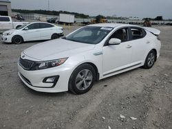 Vehiculos salvage en venta de Copart Earlington, KY: 2015 KIA Optima Hybrid