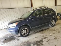 Salvage cars for sale at Pennsburg, PA auction: 2010 Honda CR-V EXL